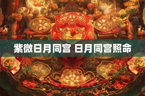紫微日月同宫 日月同宫照命