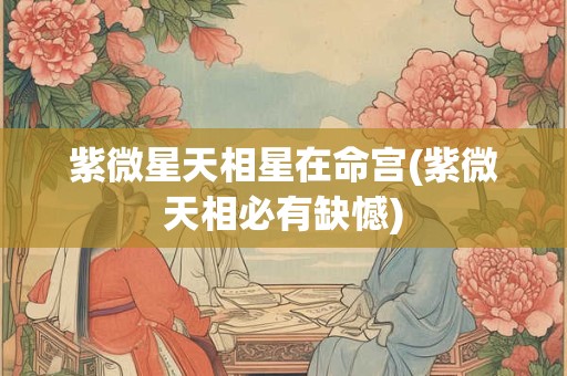 紫微星天相星在命宫(紫微天相必有缺憾)