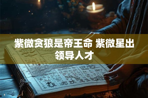 紫微贪狼是帝王命 紫微星出领导人才