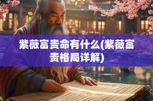 紫薇富贵命有什么(紫薇富贵格局详解)
