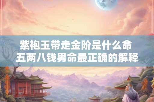 紫袍玉带走金阶是什么命 五两八钱男命最正确的解释是