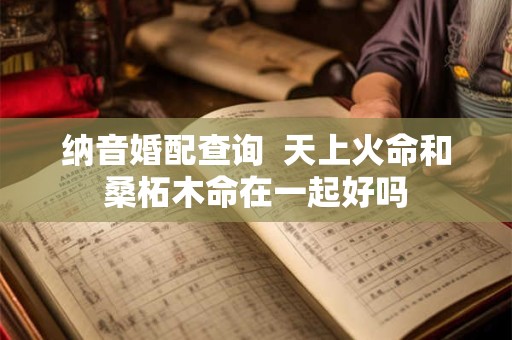 纳音婚配查询  天上火命和桑柘木命在一起好吗