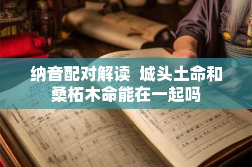 纳音配对分析  山头火命和壁上土命在一起好吗