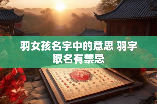 羽女孩名字中的意思 羽字取名有禁忌