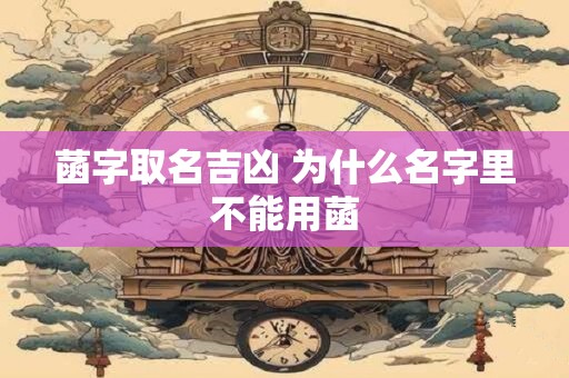 莲花名字的寓意 叫莲的人的命运