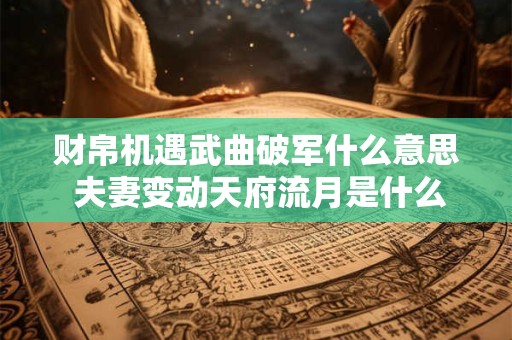 财帛机遇武曲破军什么意思 夫妻变动天府流月是什么意思