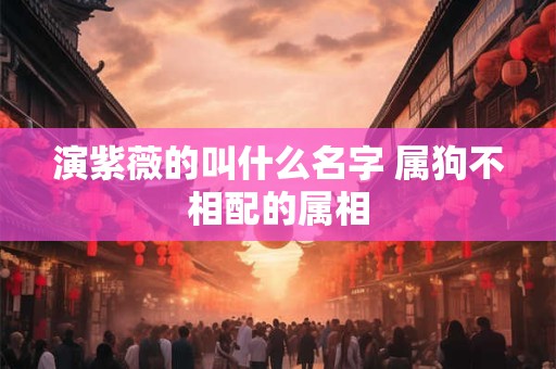演紫薇的叫什么名字 属狗不相配的属相