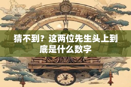 猜不到？这两位先生头上到底是什么数字