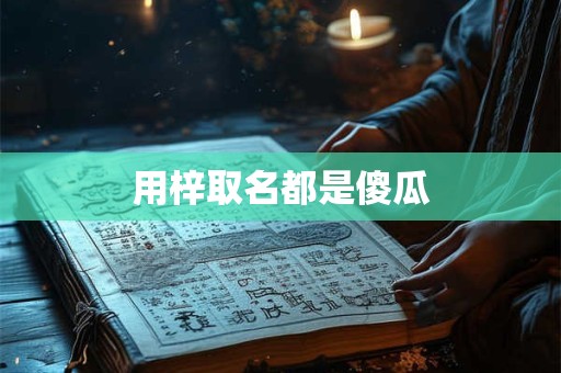 用梓取名都是傻瓜