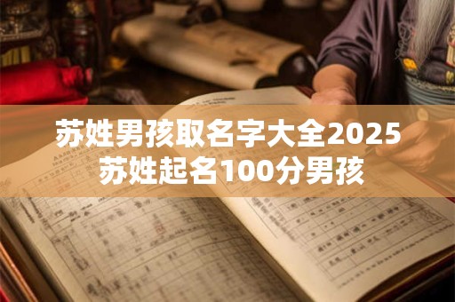 苏姓男孩名字2025年属兔起名 最新名字分享