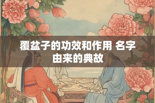 要摆几样东西最好摆东西的摆饰