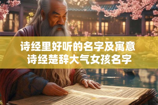 诗经里可以用于取名字的 诗经中可以用来取名字的字
