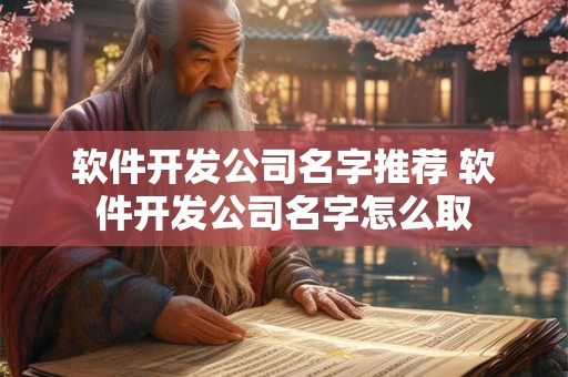 软件公司起名字大全免费,软件公司名称大全查询