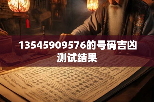 13469688807的号码吉凶测试结果
