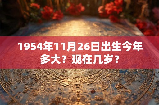 1954年11月26日出生今年多大？现在几岁？