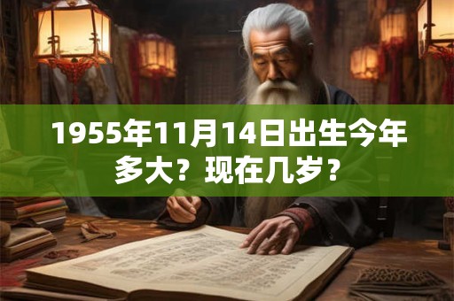 1955年11月14日出生今年多大？现在几岁？