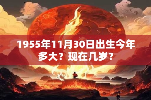 1955年11月28日出生今年多大？现在几岁？