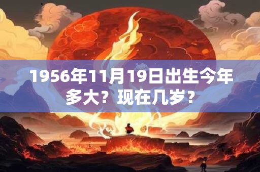 1956年11月19日出生今年多大？现在几岁？