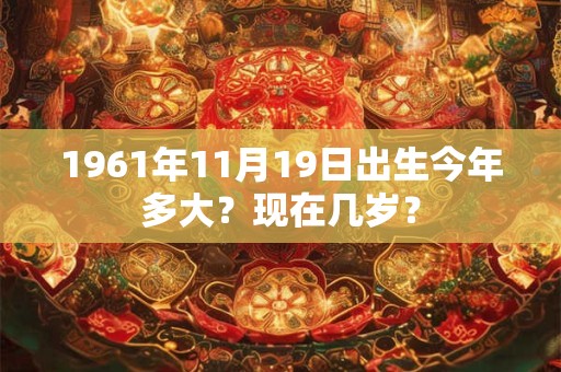 1961年11月15日出生今年多大？现在几岁？