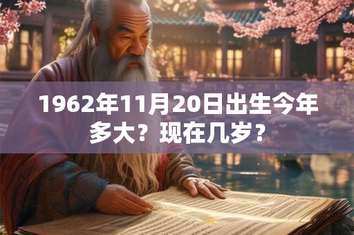 1962年11月20日出生今年多大？现在几岁？