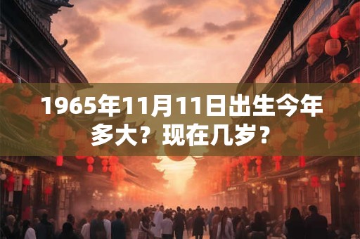 1965年11月14日出生今年多大？现在几岁？