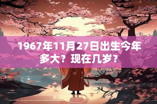 1967年11月27日出生今年多大？现在几岁？
