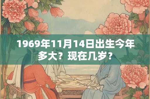 1969年11月14日出生今年多大？现在几岁？