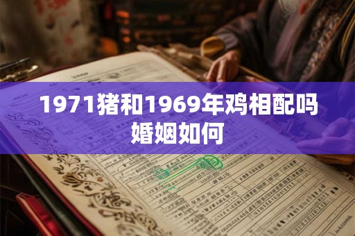 1971猪和1969年鸡相配吗婚姻如何