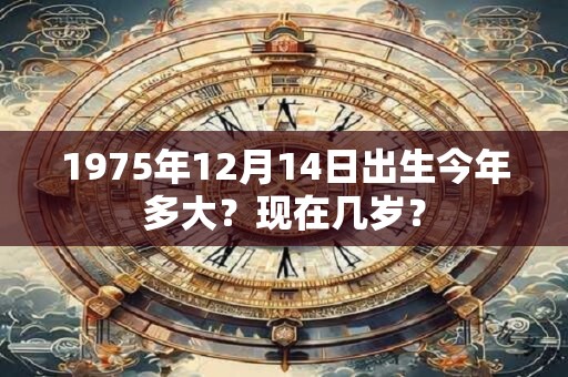 1975年12月29日出生今年多大？现在几岁？