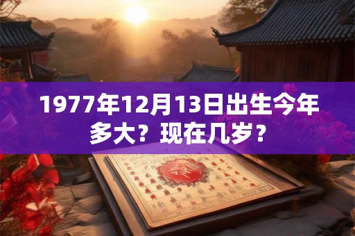 1977年12月15日出生今年多大？现在几岁？