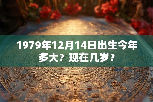 1979年12月14日出生今年多大？现在几岁？