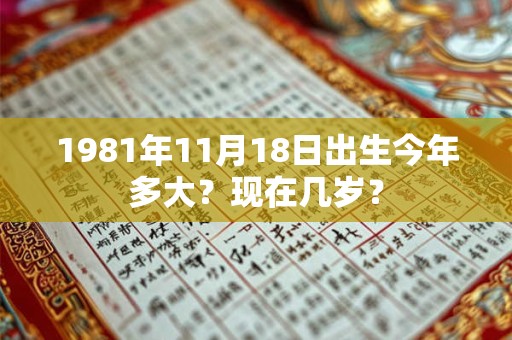 1981年11月10日出生今年多大？现在几岁？