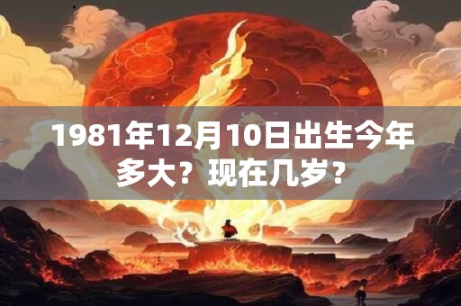 1981年12月10日出生今年多大？现在几岁？