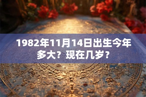 1982年11月14日出生今年多大？现在几岁？