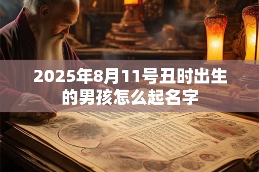 2025年8月11号丑时出生的男孩怎么起名字