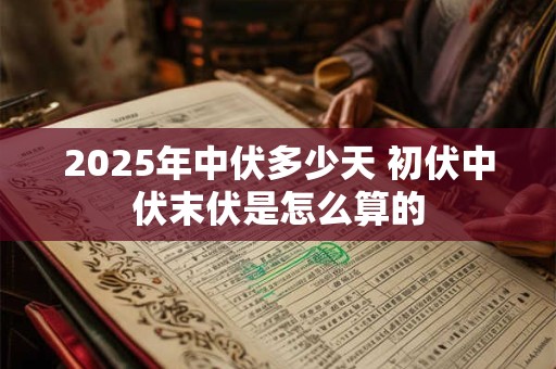 2025年中伏多少天 初伏中伏末伏是怎么算的