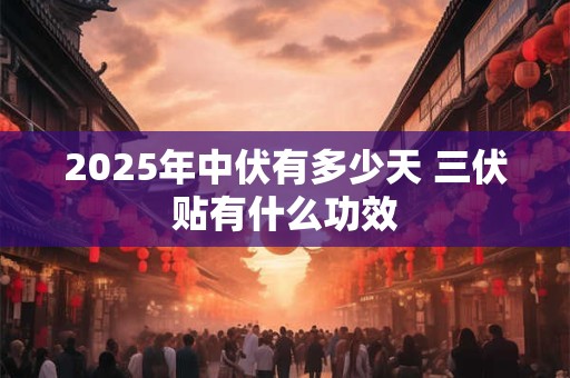 2025年中伏有多少天 三伏贴有什么功效