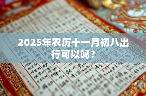 2025年农历十一月初八出行可以吗？