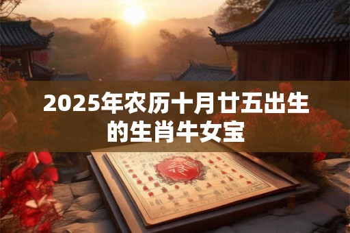 2025年农历十月廿八出生的女孩五行八字分析