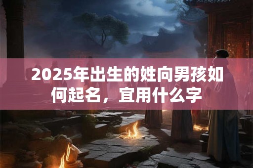 2025年出生的姓向男孩如何起名，宜用什么字