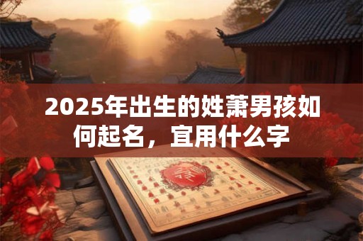 2025年出生的姓苗女孩如何起名，宜用什么字