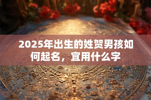 2025年出生的姓贺男孩如何起名，宜用什么字
