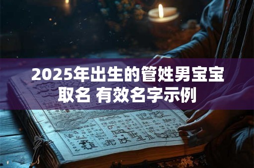 2025年出生的管姓男宝宝取名 有效名字示例