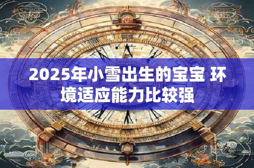 2025年小雪出生的宝宝 环境适应能力比较强