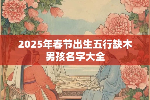 2025年春节出生五行缺木男孩名字大全