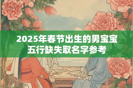 2025年春节出生的男宝宝五行缺失取名字参考