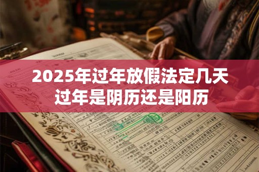 2025年过年是几月几号，2025年过年时间