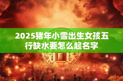 2025猪年小雪出生女孩五行缺水要怎么起名字
