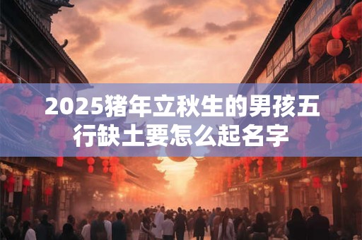2025猪年结婚的人婚姻运势好吗？