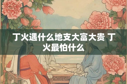 丁火遇什么地支大富大贵 丁火最怕什么